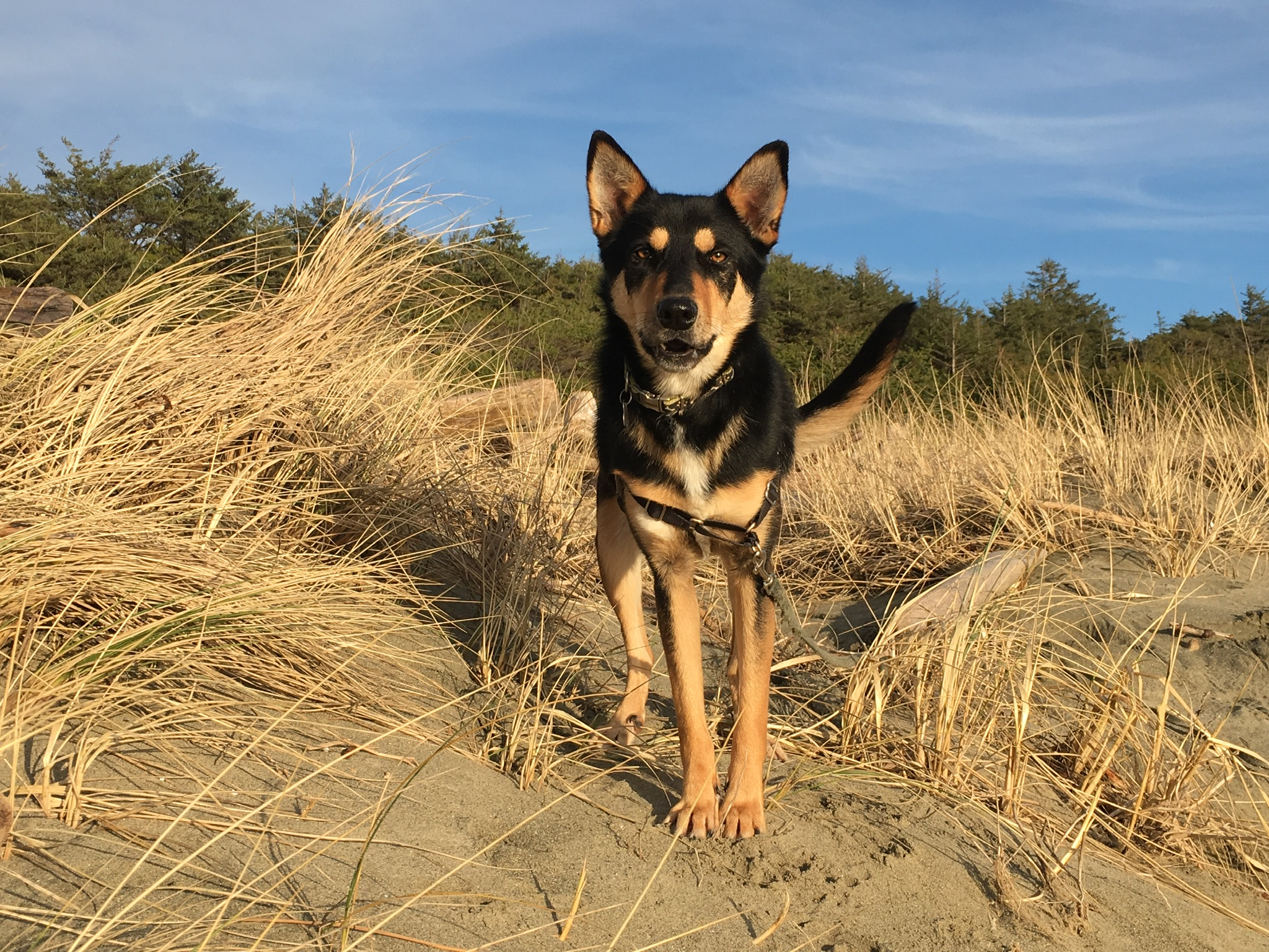 64c3e3bb-2caa-4bc5-900c-fed3d5855dae