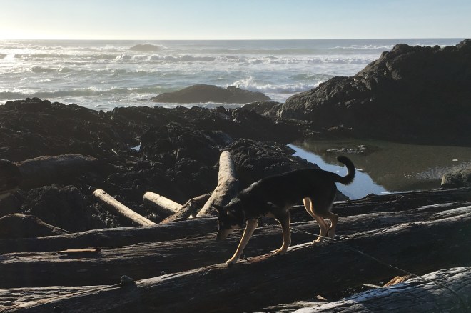 8ed9fab3-4241-4d7d-a871-682a139fe766