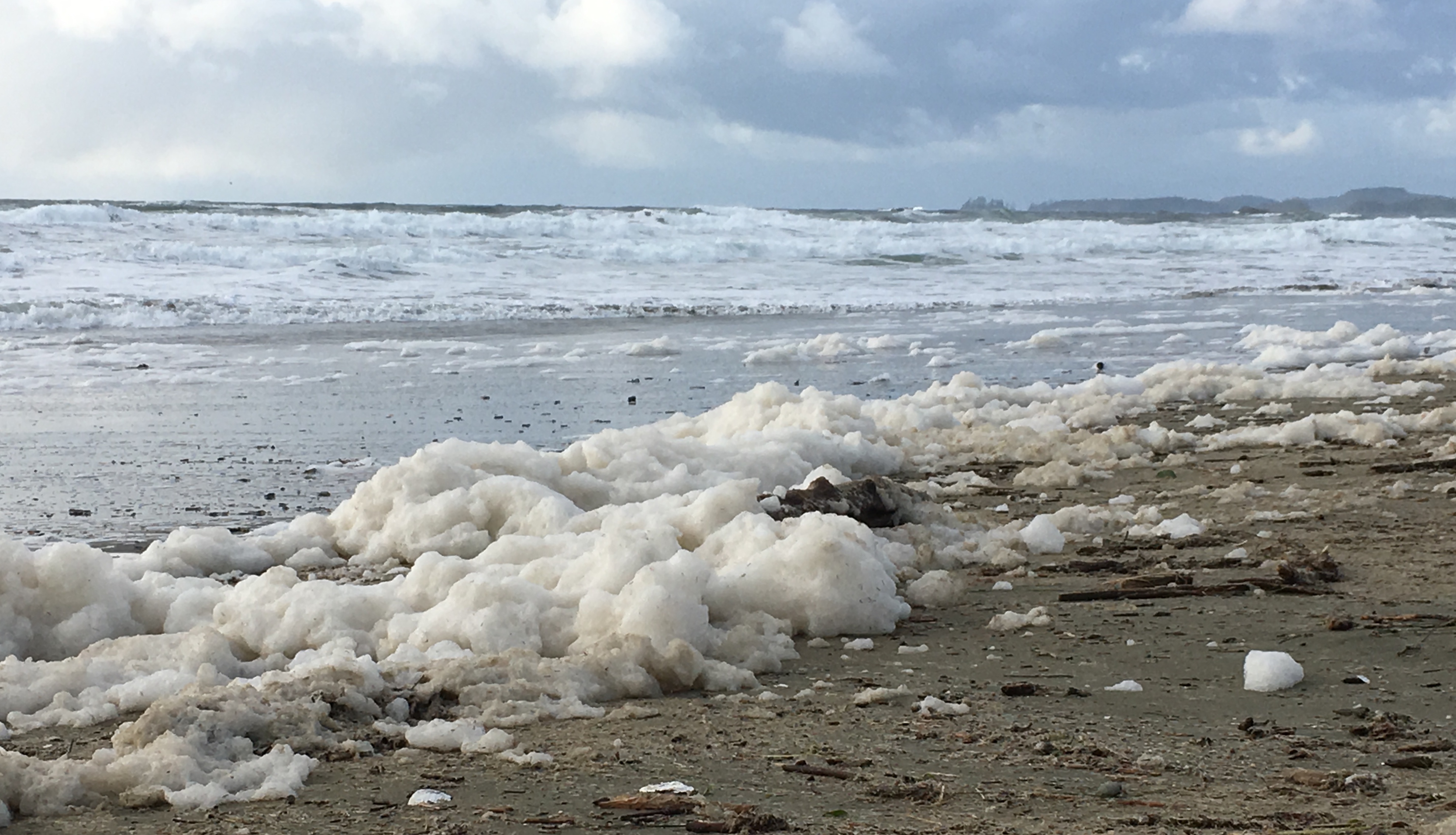 a42cda02-a29b-44ce-a532-339a3aa31fe2