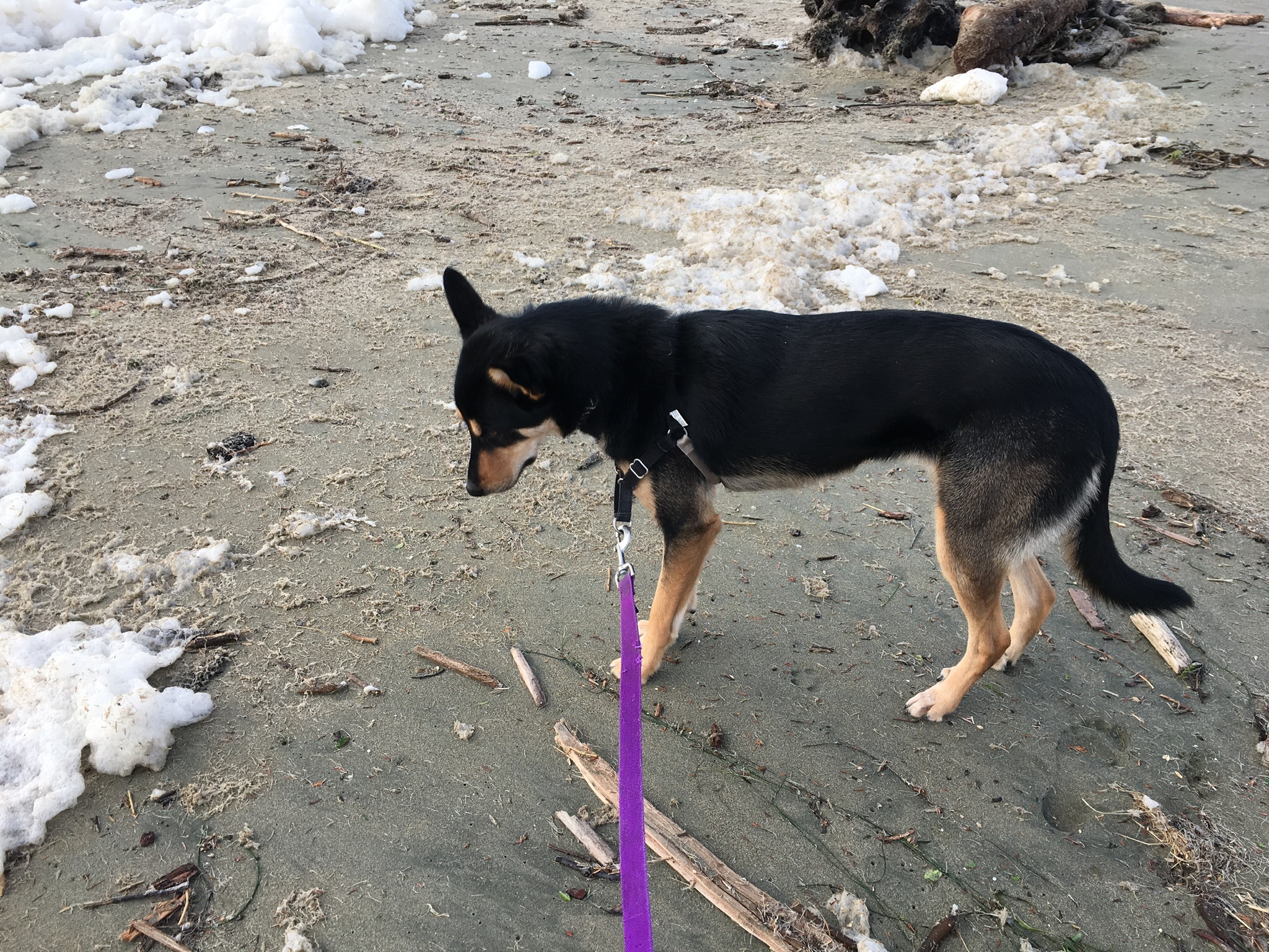 c9e7e5c6-7cf5-4513-8b0c-fe4ffafc005a