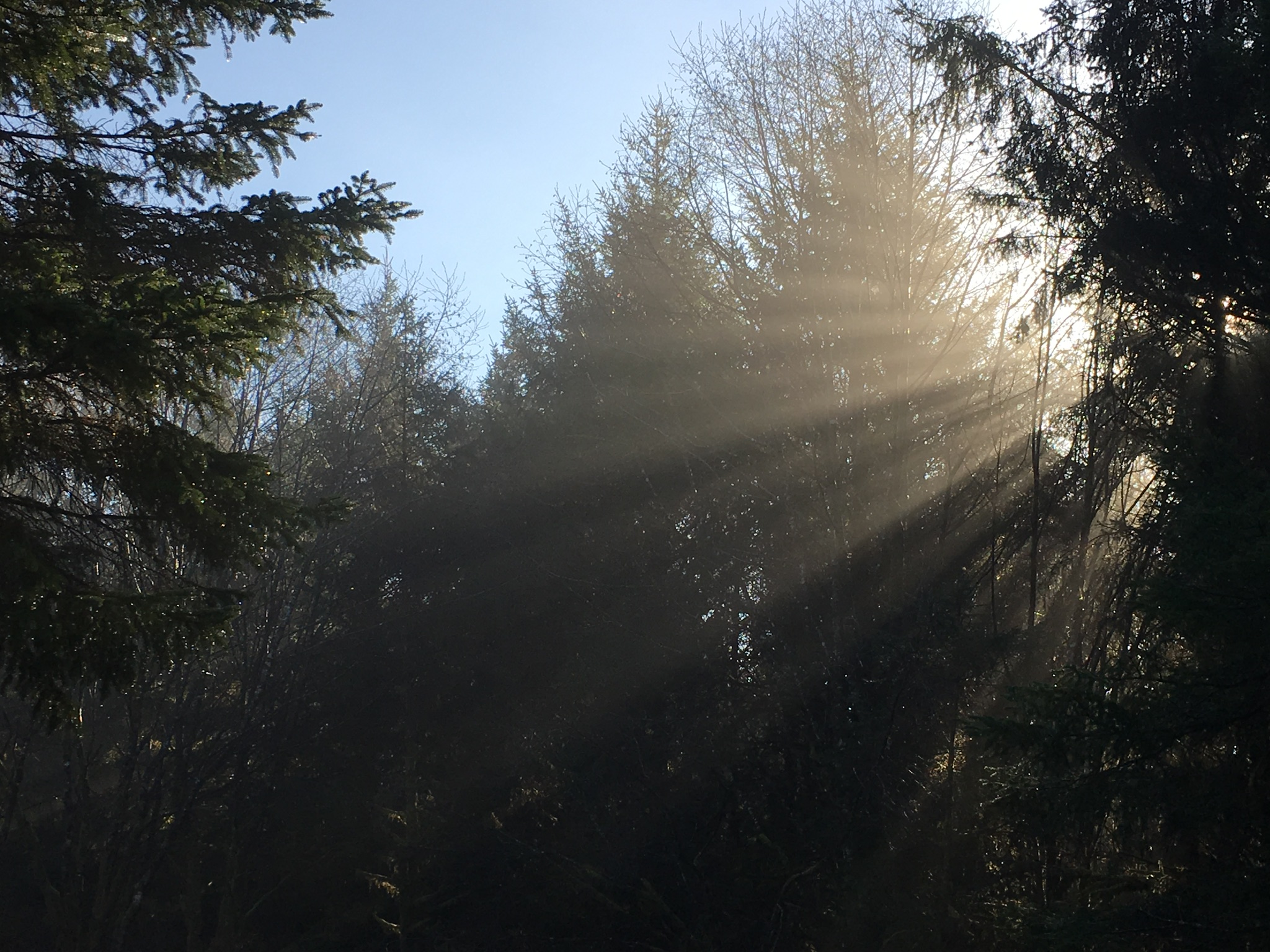 d5bf7b94-1ca3-4863-85e3-9ac083a8d245