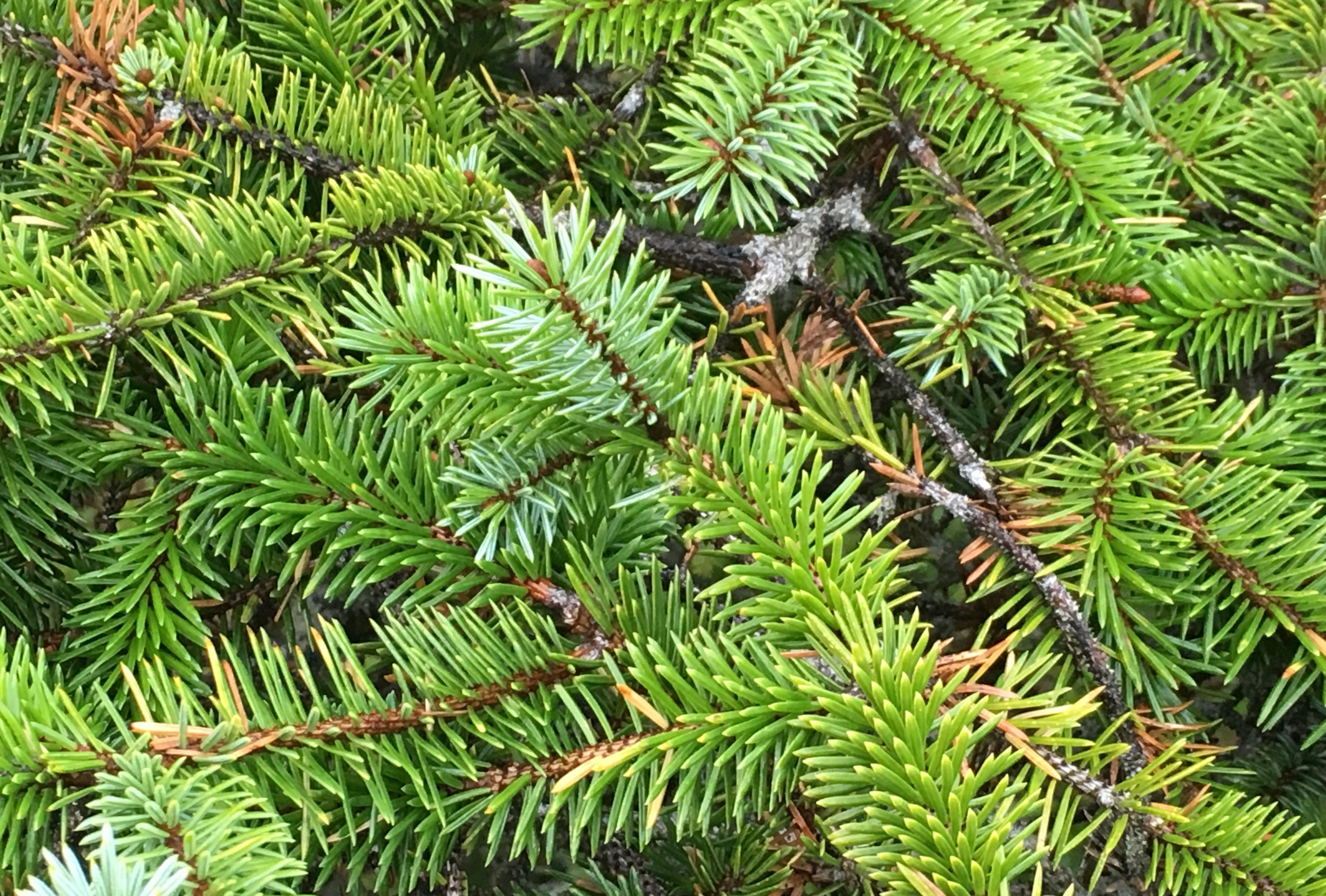 e0e96e23-0f55-41dc-a3ac-9b436db54fd8