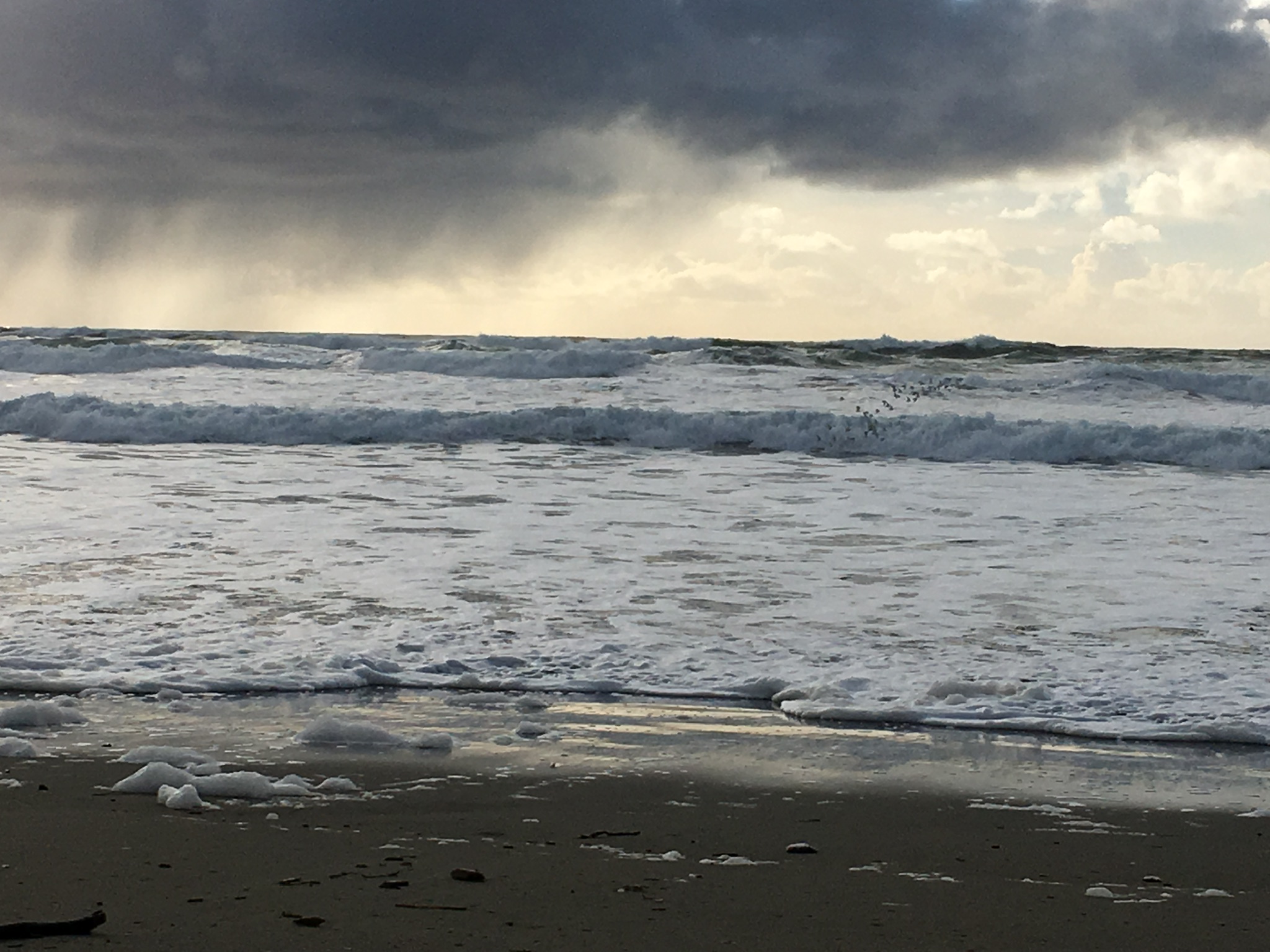 e33788ca-fd3b-4e96-8b11-4e6718654815