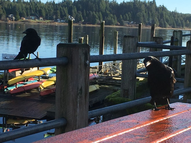 e667bd27-f42c-46e8-ad0c-1472010435f3