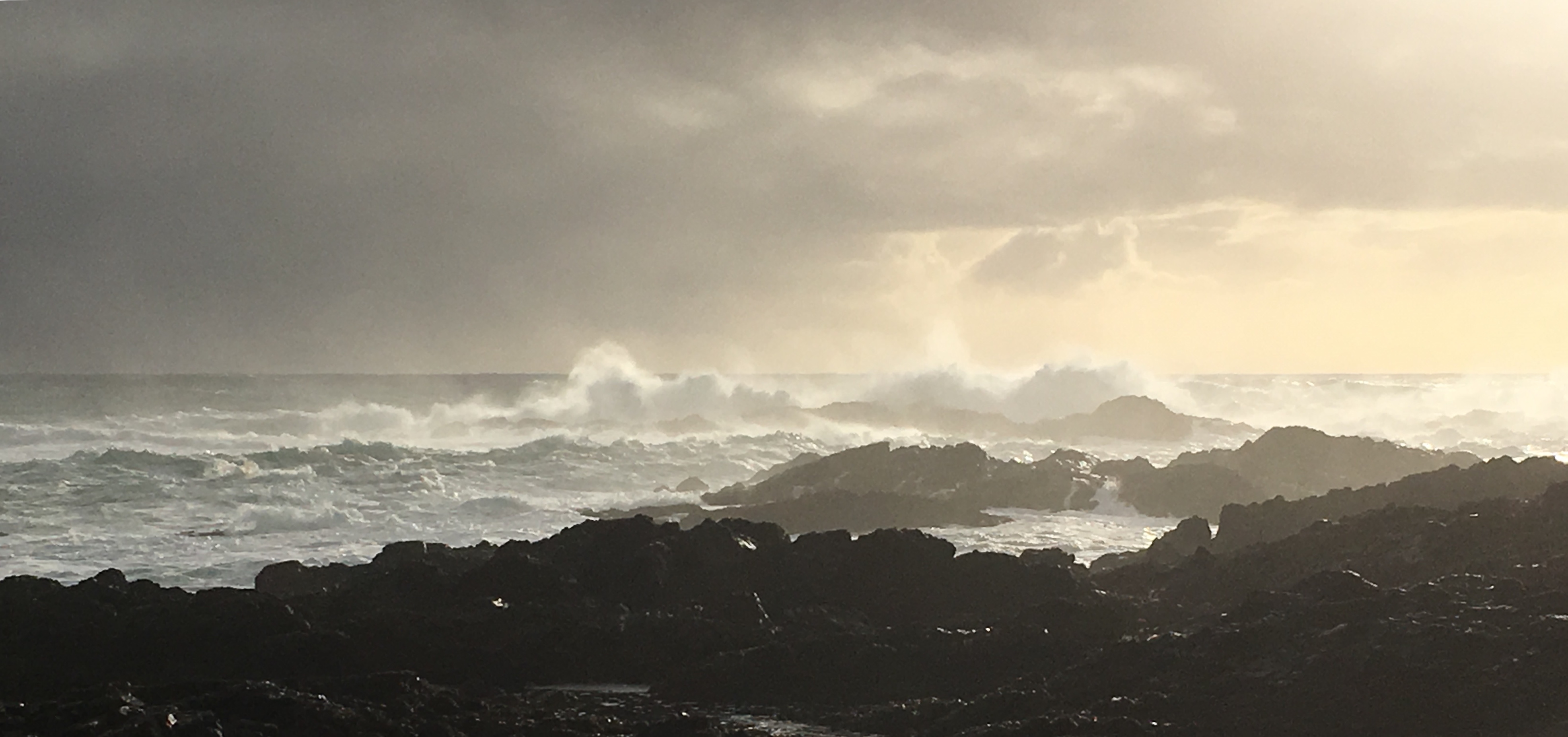 ee22f871-2526-4f0d-9b1a-e2a22cd4250b