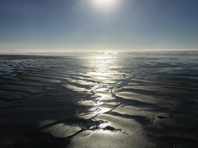 ef3a9dfc-0af4-461d-bec4-f79371973933