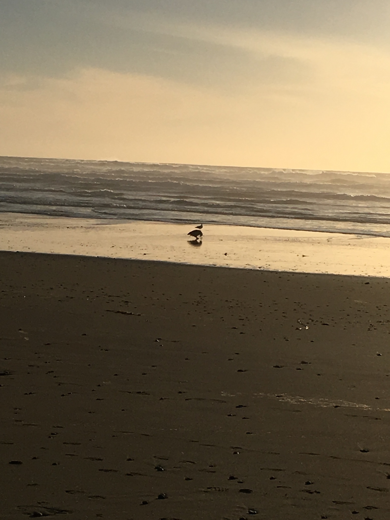 f9a4bca8-0d5e-4baa-aed0-c60a87b9ae5d