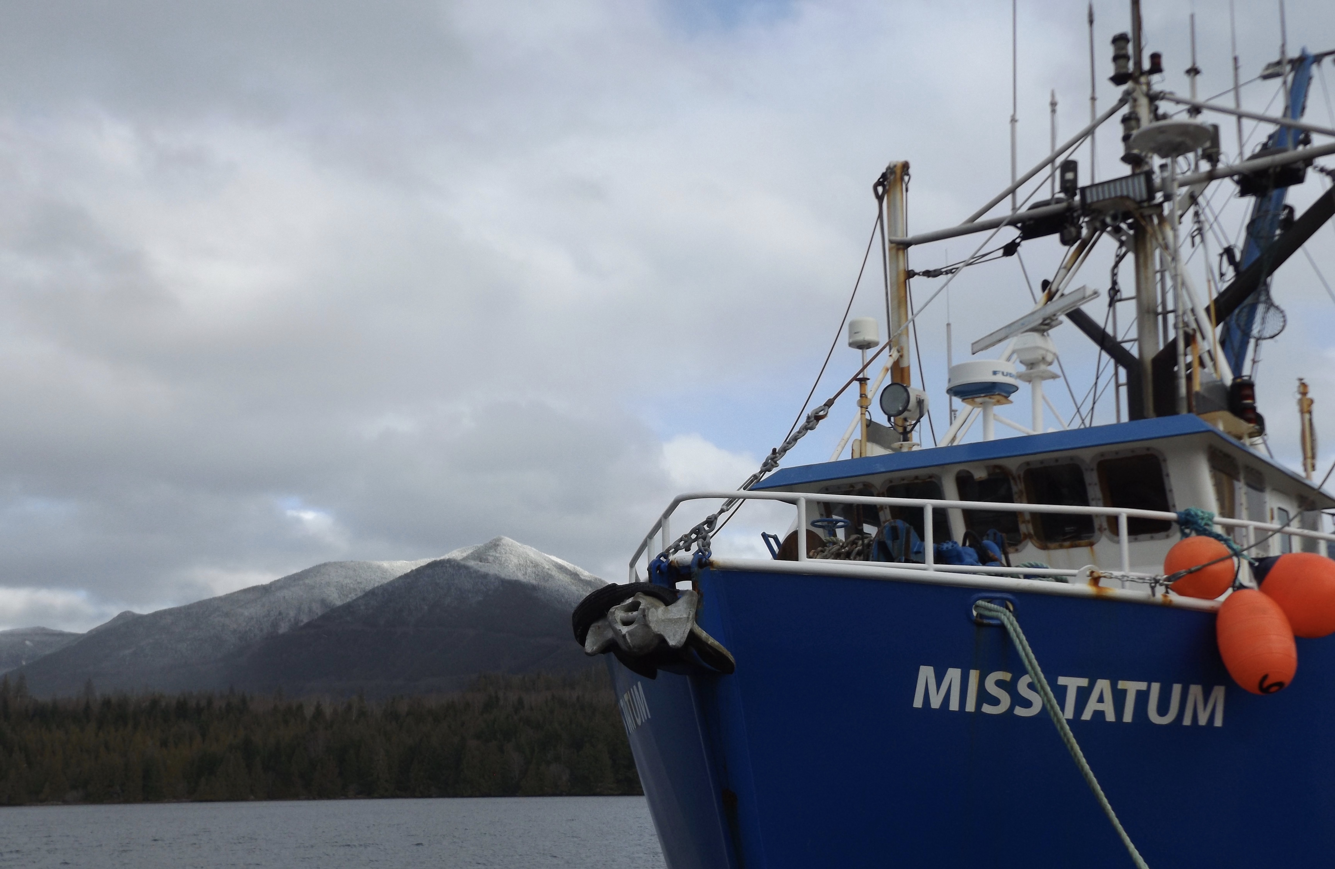 02610276-ABB8-4CAB-911E-14F5BE94ACBA