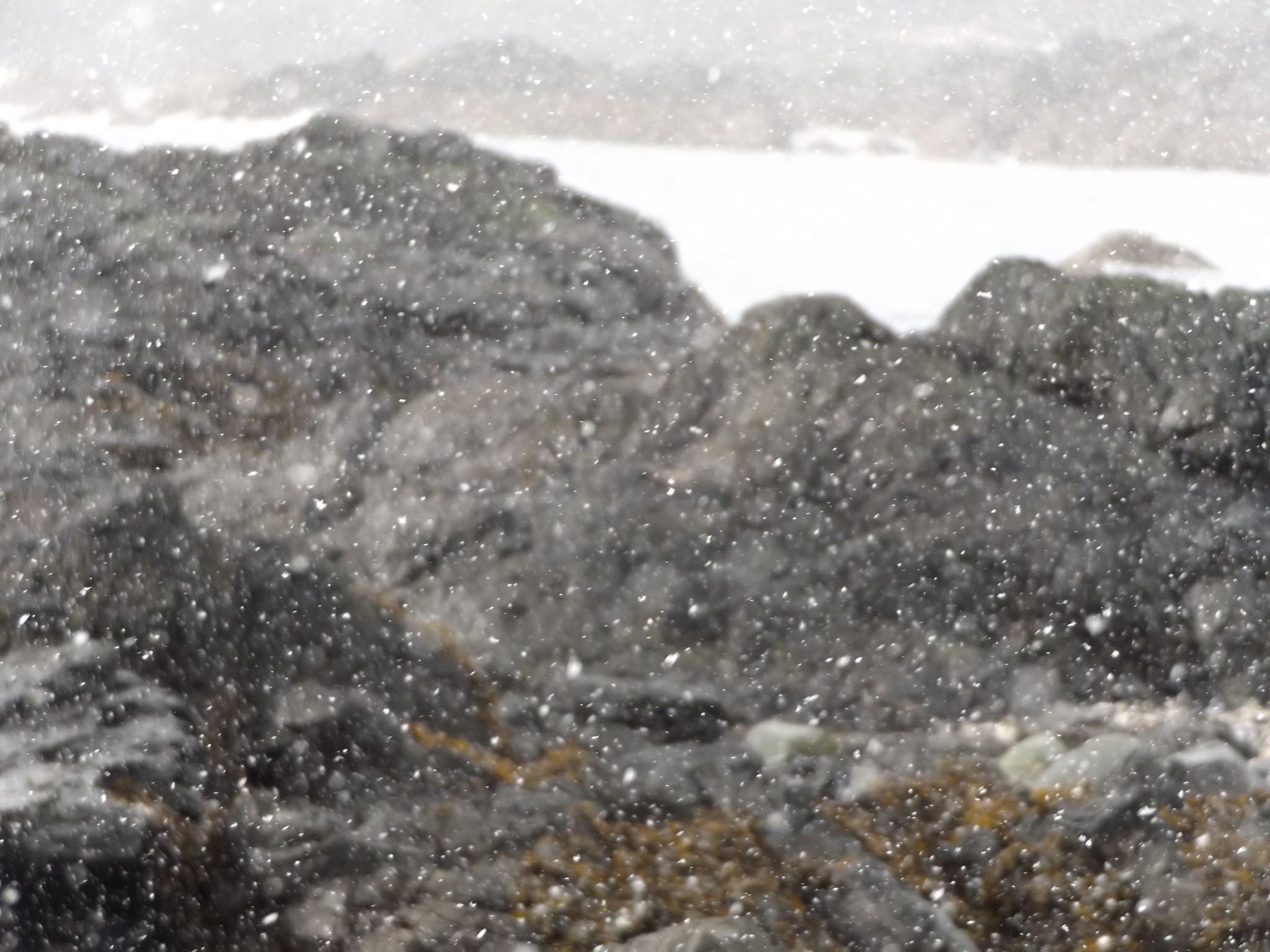 12B91662-1B2D-4F19-878A-3747490C90BA