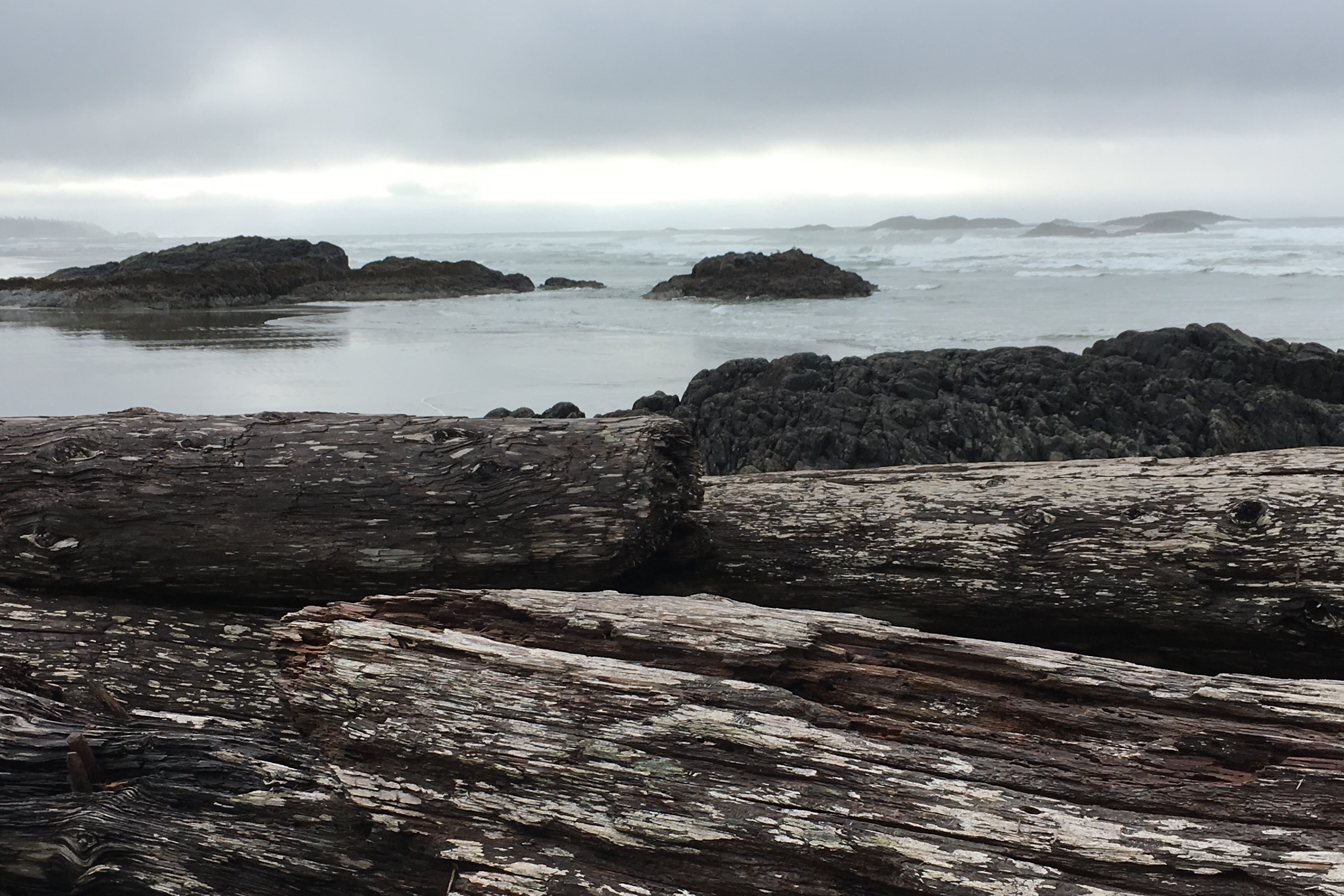 1318da27-5d14-46b6-a7d4-f10f602f3981