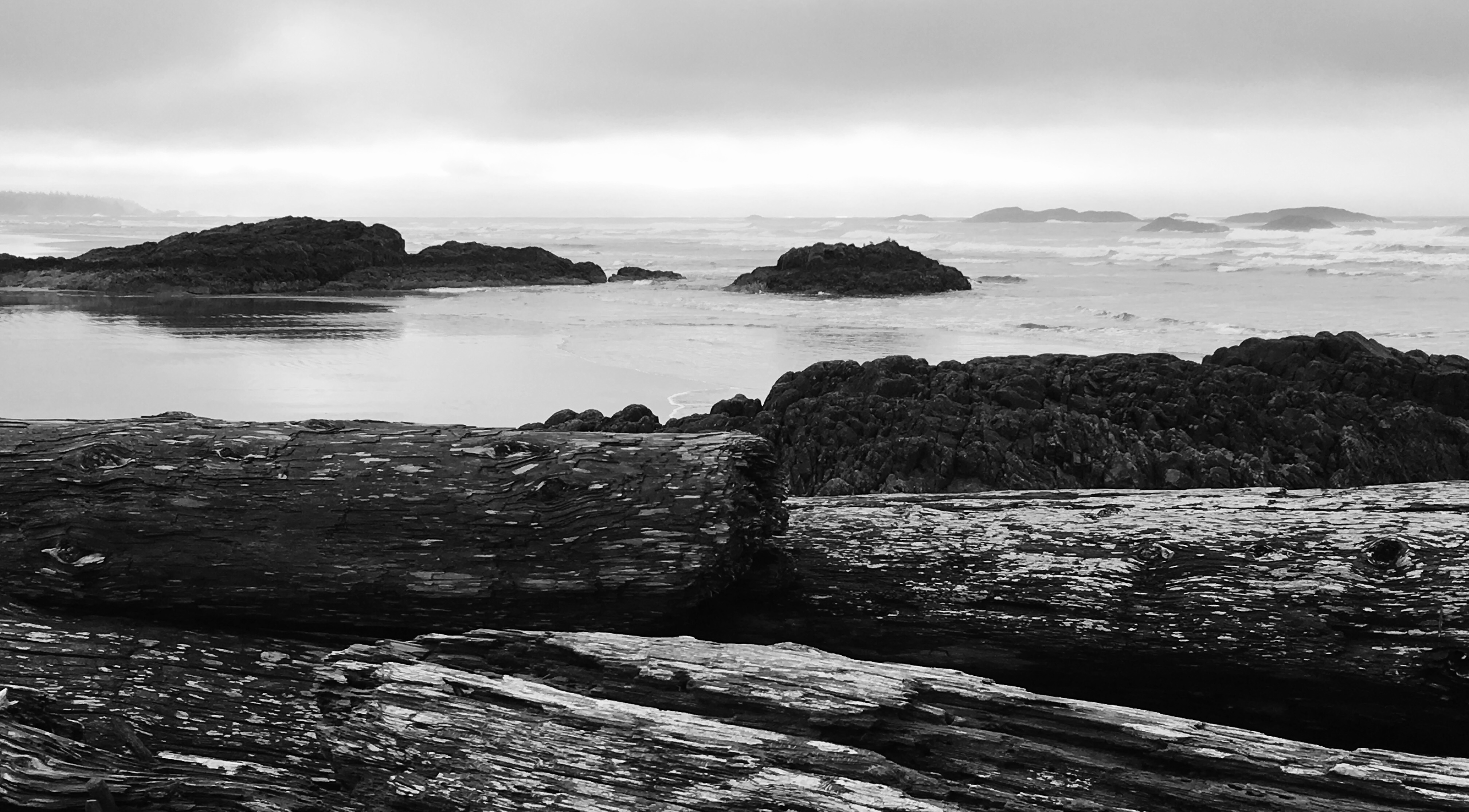 2fdda4e7-ff69-4b3d-91e6-7851fdd5ca18