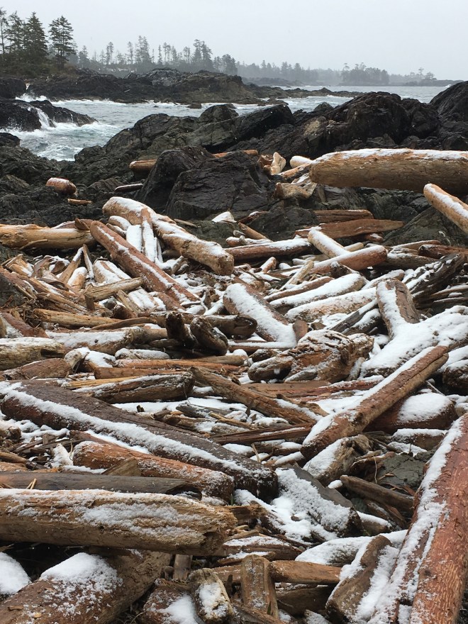 3163D7D8-D339-4B51-81FC-DEF15194B311