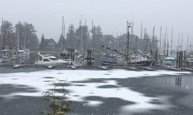 931D869F-4B8A-4E4E-A362-84CFBC194F75