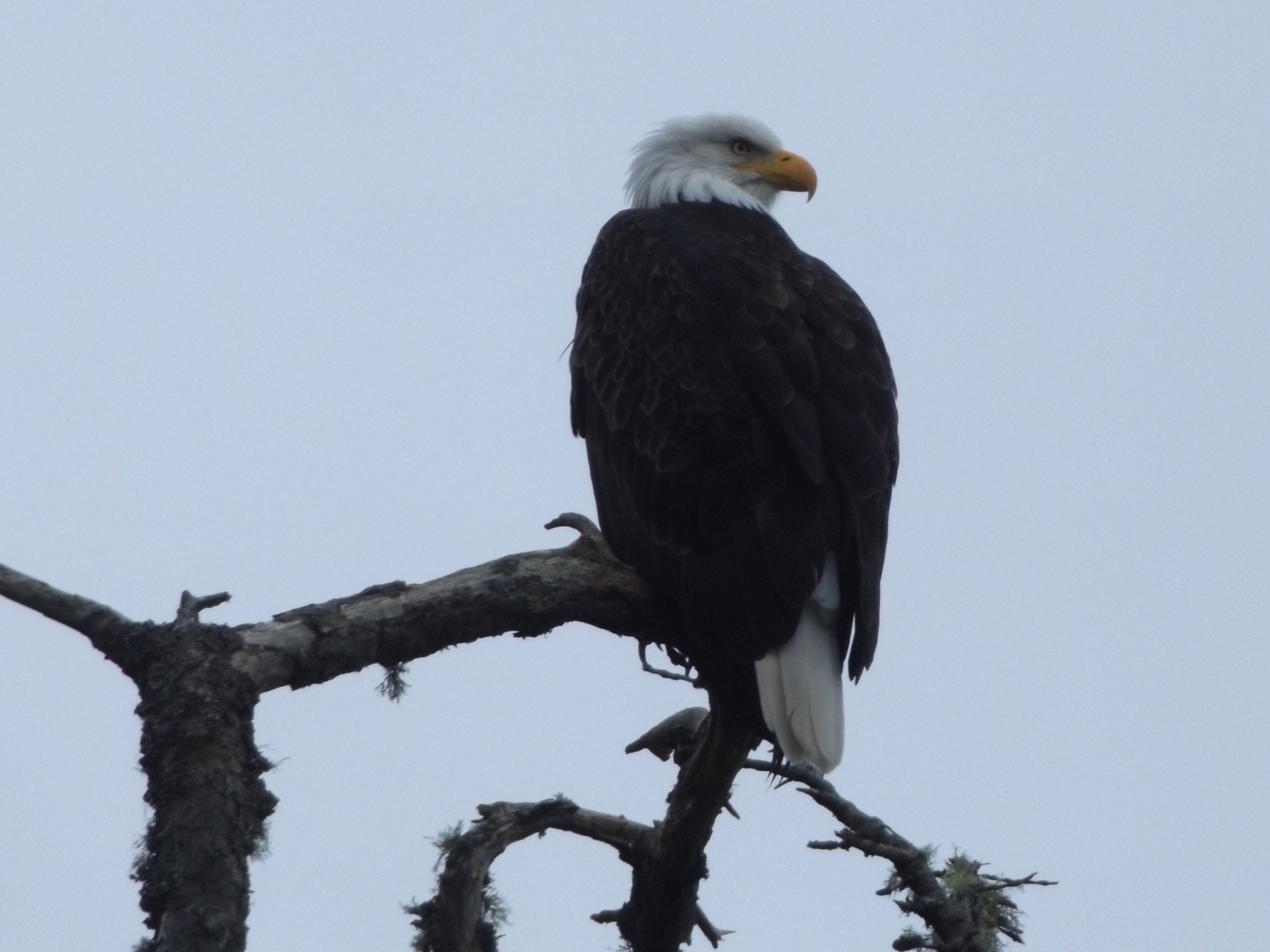 f0efbc27-2b1e-4353-aa4c-7847d20875fa