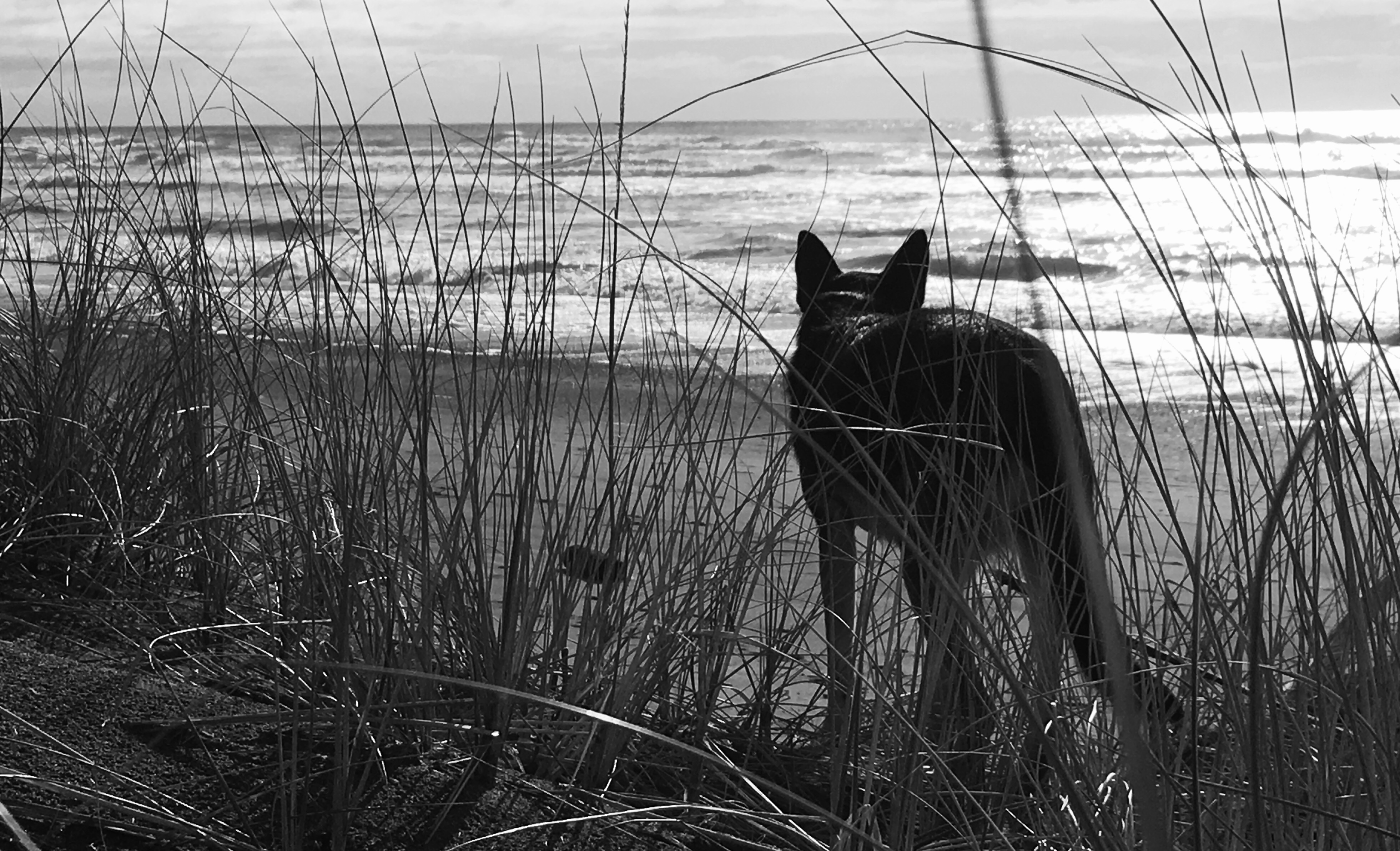 04316895-A0DE-4883-B7A7-869893E8D33F