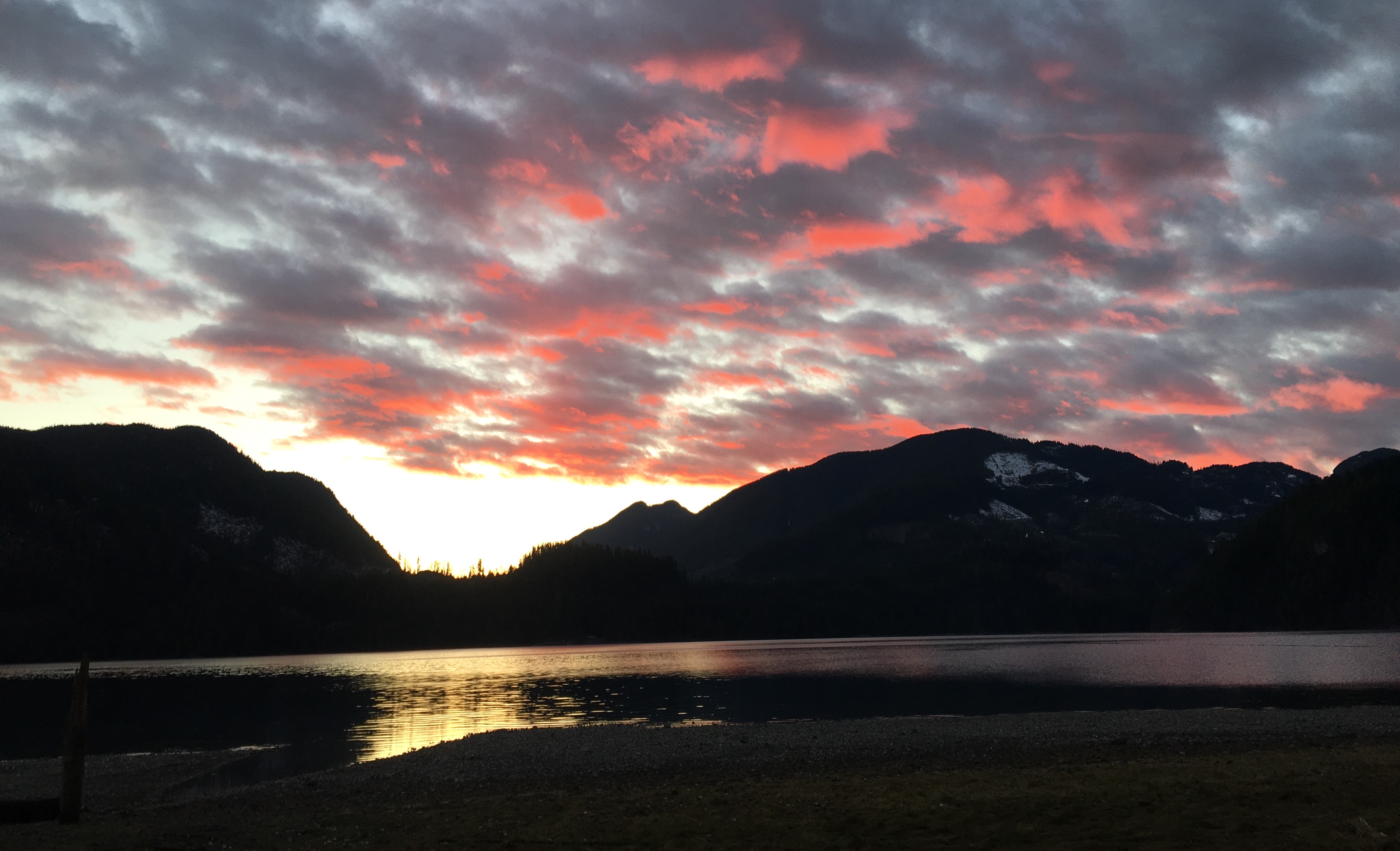 0AD446B0-D83B-4F39-8BCE-05DF4CE51CC5