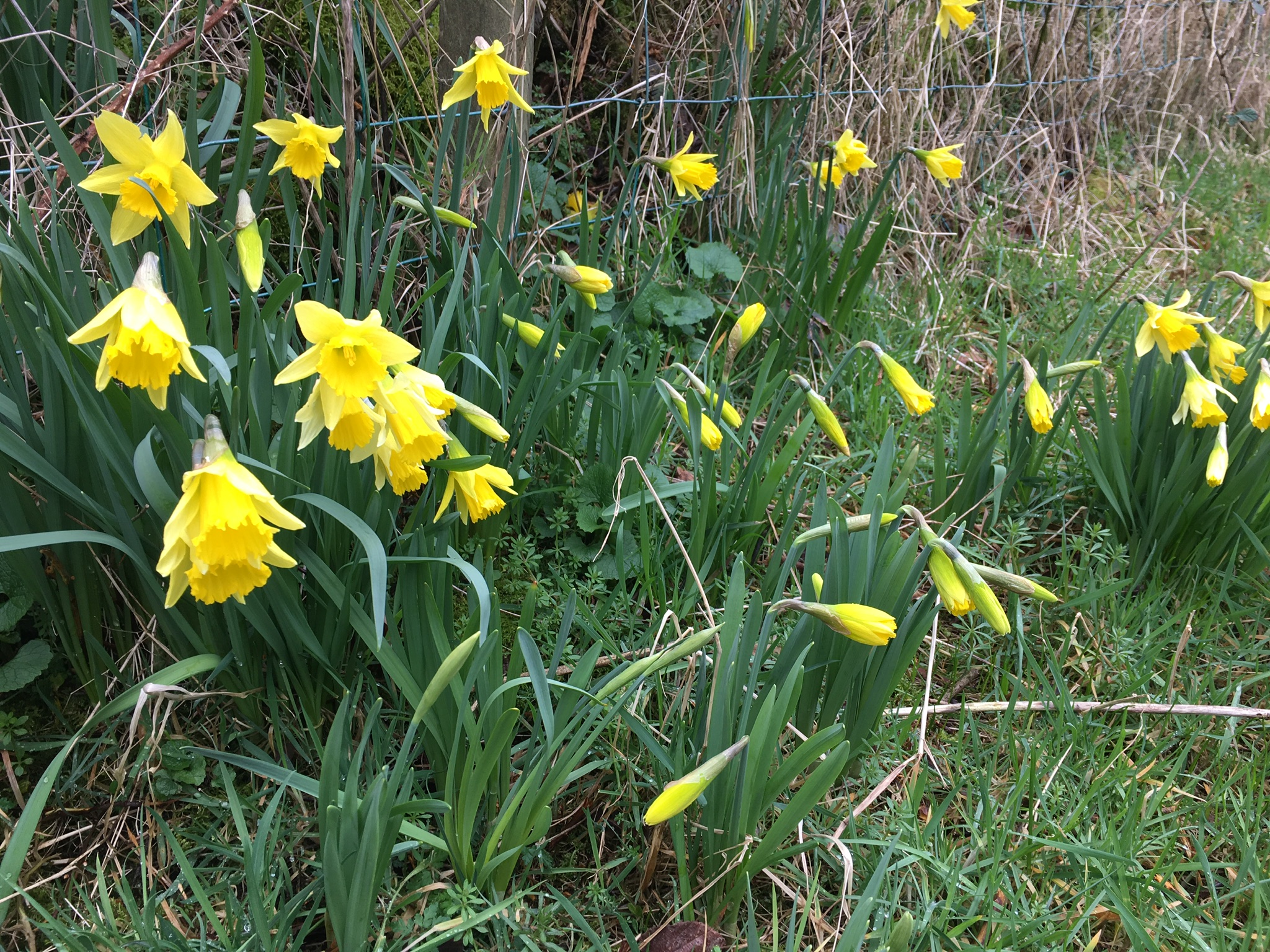 11F3020D-222F-406B-9F5E-80F66078F30F