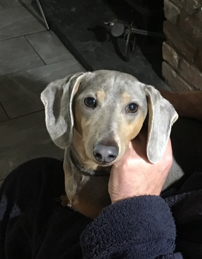 56ED10B7-4398-4061-82BD-5EF272B61564