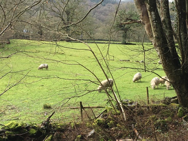 62234552-E82F-49E1-9BCD-D0846162C7EA