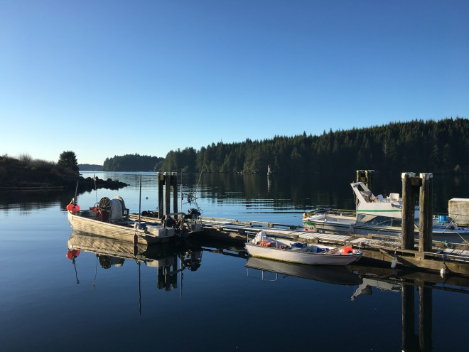 8CA657DE-3D76-4E91-8E35-8C313F68030D