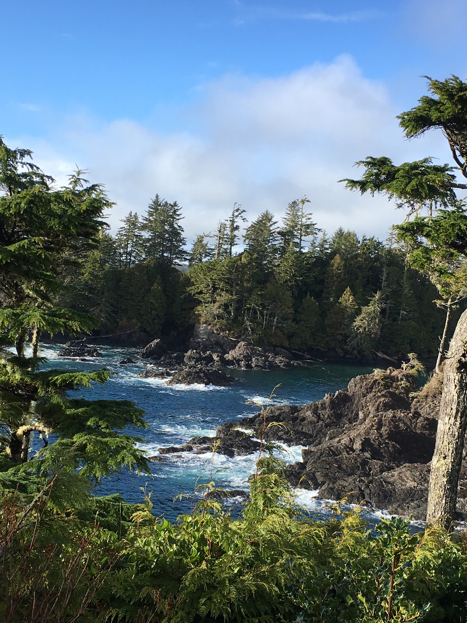 8EE130C4-12E4-4E77-A9AA-CF4A6BBF7FEE