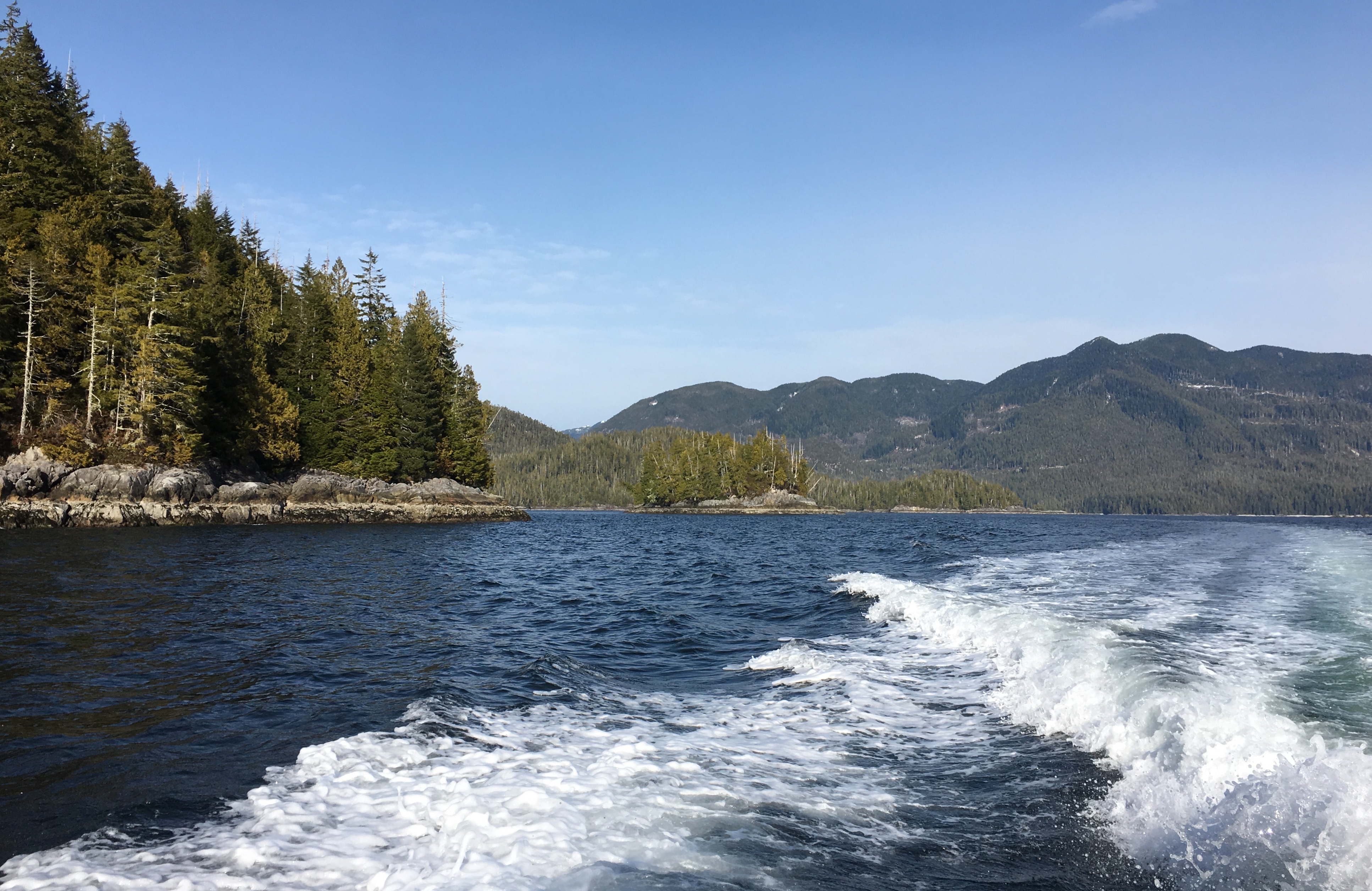 BCE9D0FF-7178-4D43-8AB4-4658DB77665A