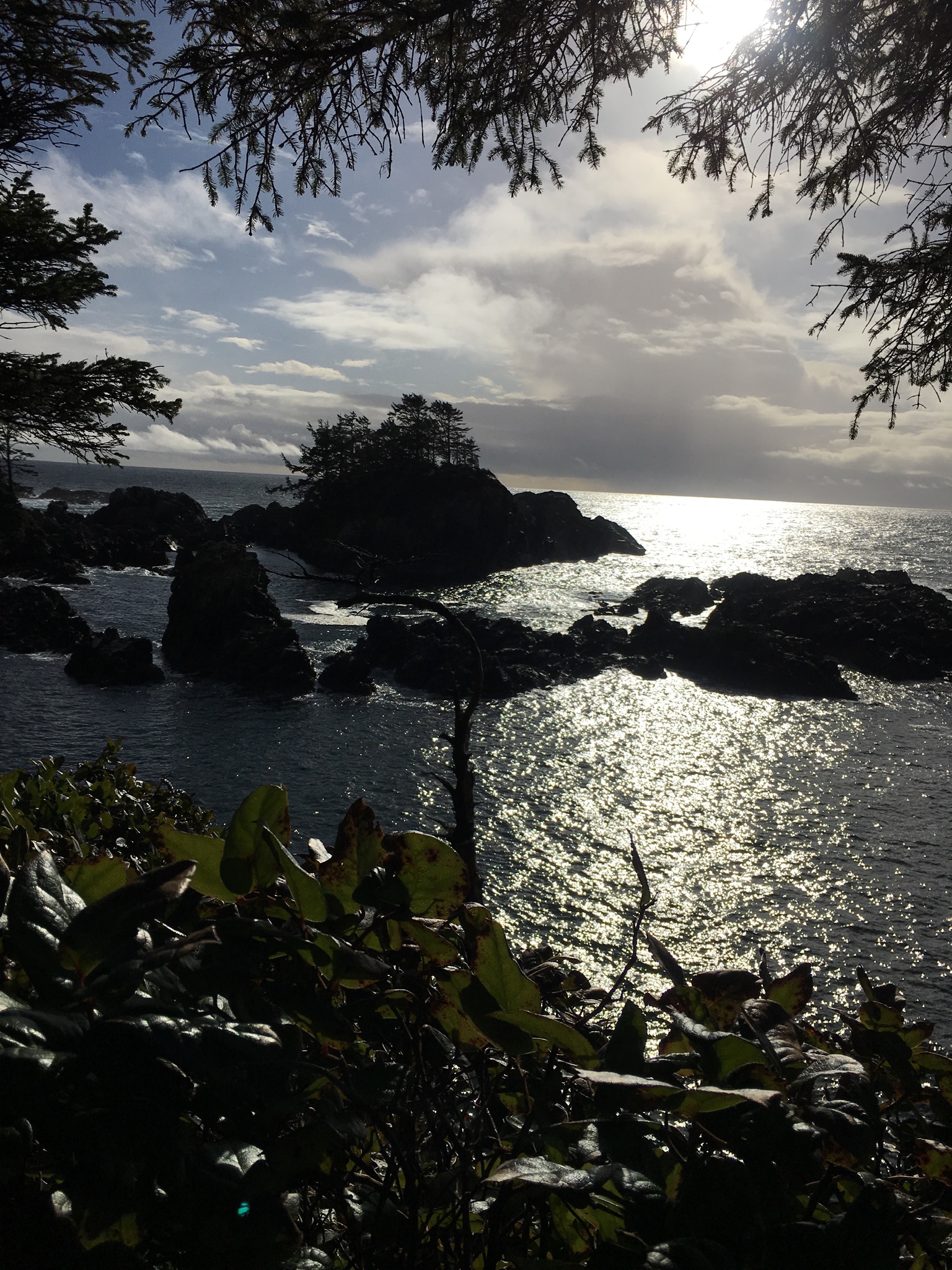 EFB6C001-2006-4B75-AA0B-1A4BBAF3D1A9