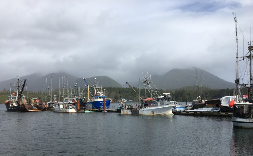 Rain and mist – normal&nbsp;service