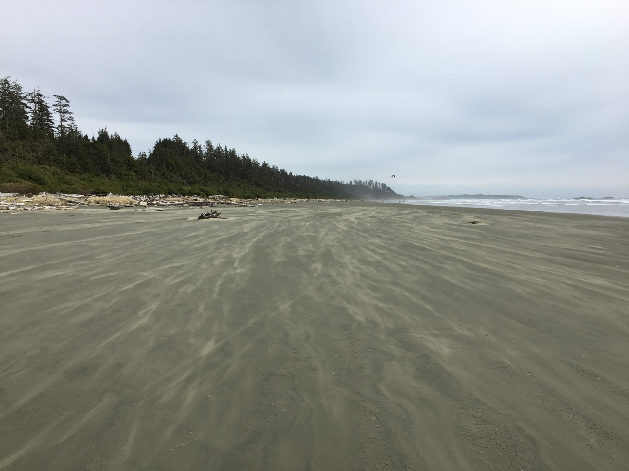 30529479-ED65-484E-AF18-DC75054C5270