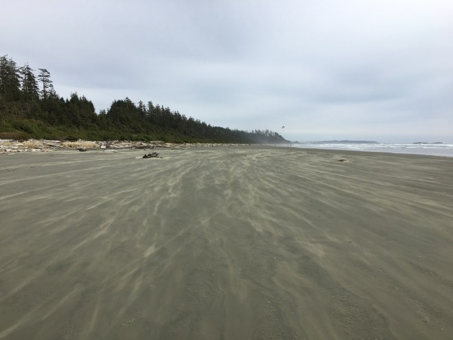 30529479-ED65-484E-AF18-DC75054C5270