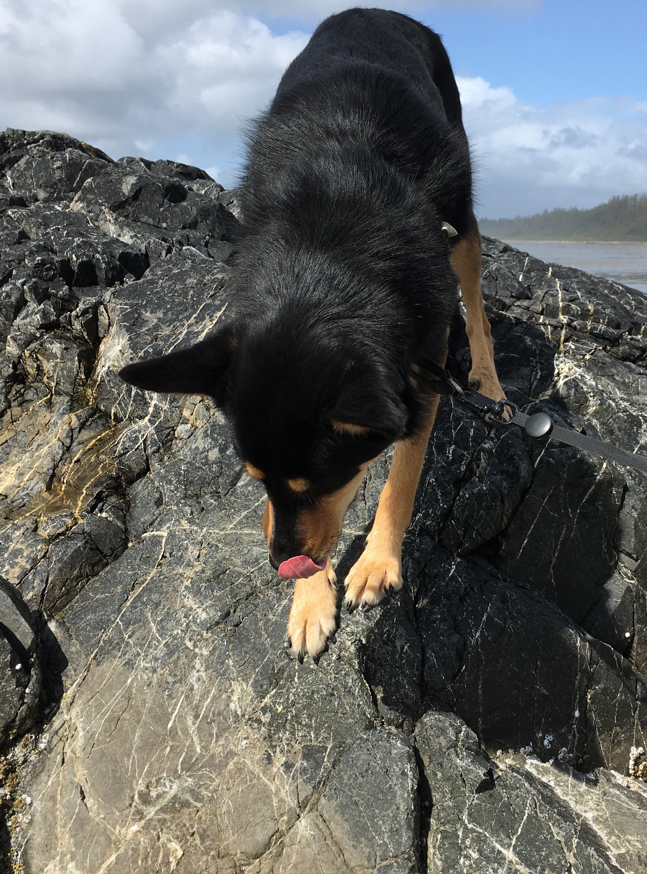 5D4E2C46-AA19-4087-A36A-7C452FFD828C