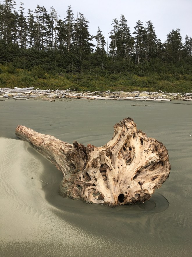 6CD14131-265D-4B49-A62C-945D09C5E610