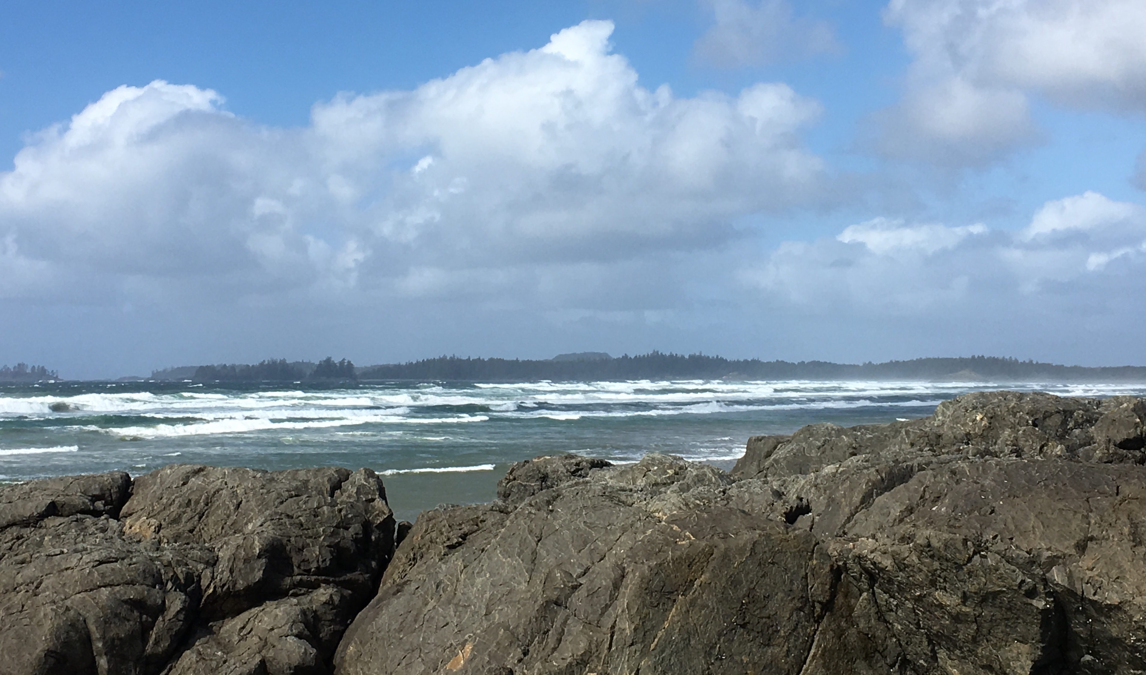 E68A8F92-ACFC-42D6-B05C-DFB9A5D72FC9