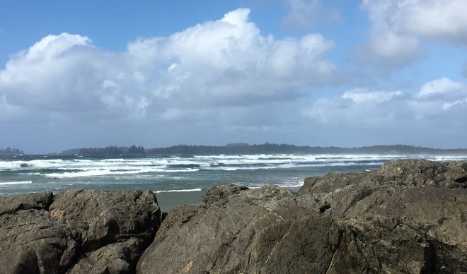 E68A8F92-ACFC-42D6-B05C-DFB9A5D72FC9