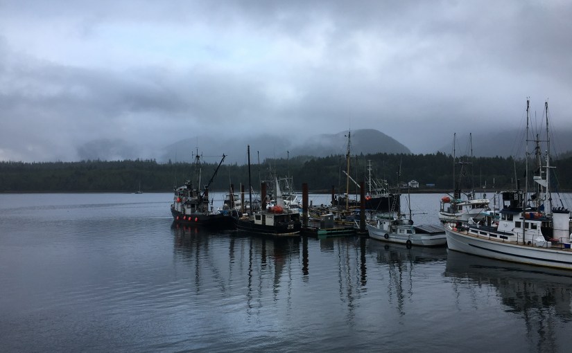 We ramble on (somewhat dazed and confused…)