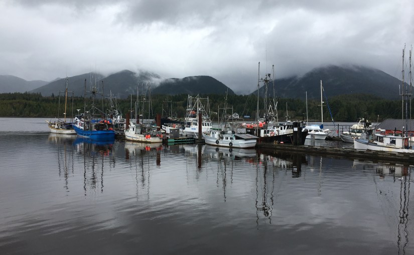 Five eagles and a fresh&nbsp;salmon