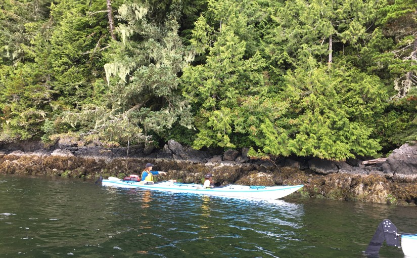 A patch of&nbsp;blue