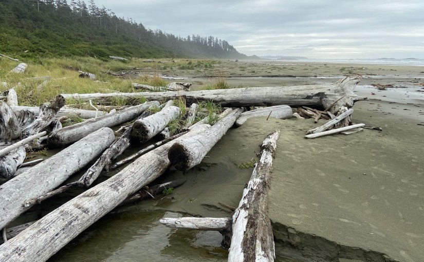 Go with the&nbsp;flow