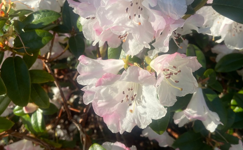 Watching the skies…