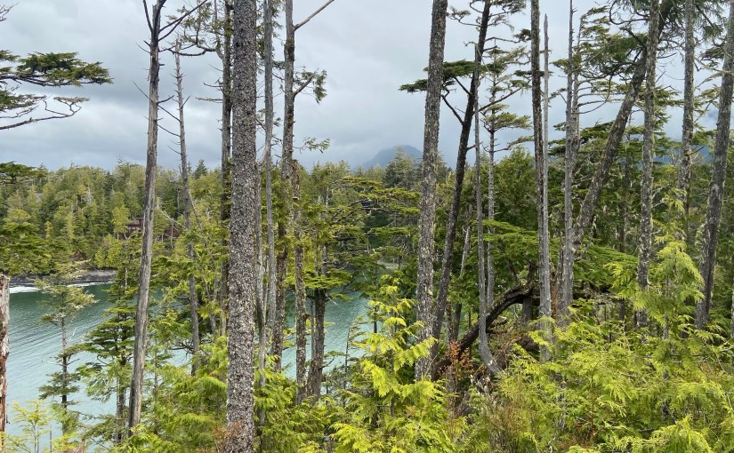 Trail time with a&nbsp;dinosaur