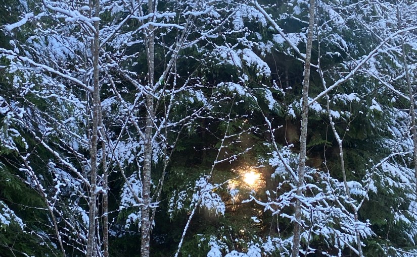 A pinch, a dash, a&nbsp;dollop…