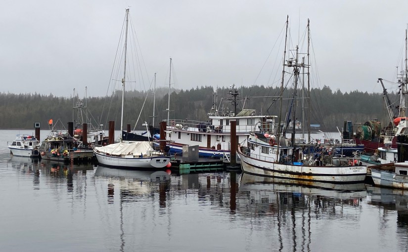 A walk on the quiet&nbsp;side…