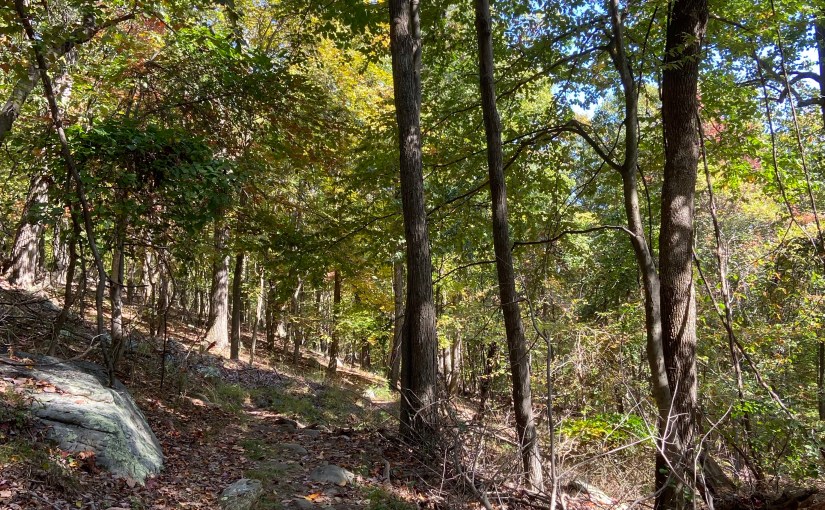 Warm days, happy trails, cool&nbsp;nights…