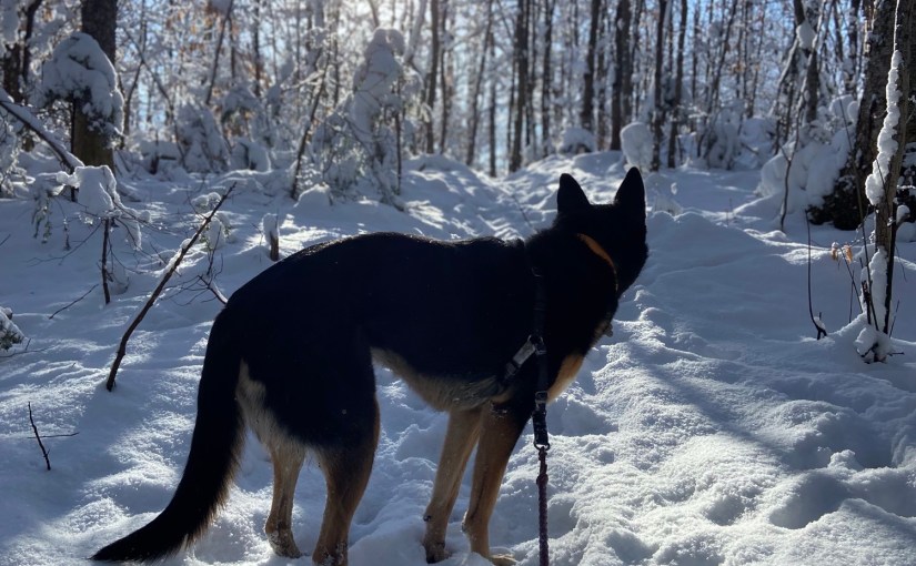 The little things&nbsp;delight