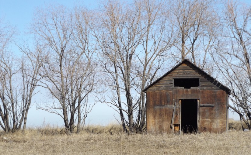 Prairie in miniature
