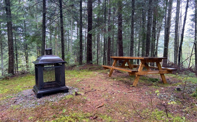 Still by the river…(part one was last week, and it has the sunnier stuff – this is part two, and less&nbsp;sunny)