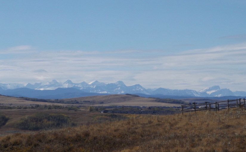 We couldn’t resist…